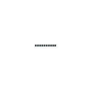 Screw terminals PNOZ mmc2p,mml1p 10 pcs.