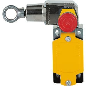 PSEN rsm 1.0-300-0-2-0