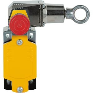 PSEN rsm 1.0-300-0-1-0